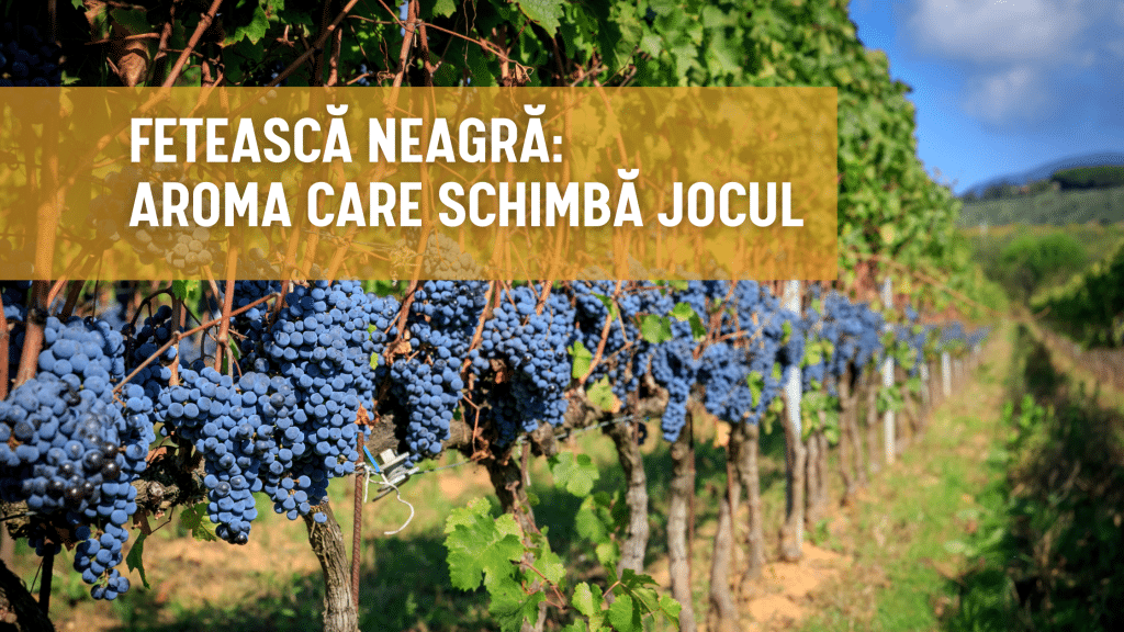 feteasca neagra vinuri rosii romania moldova vin rosu